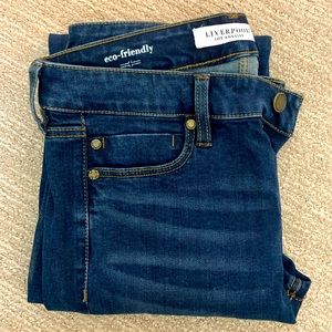 Liverpool Dark Wash Skinny Jeans